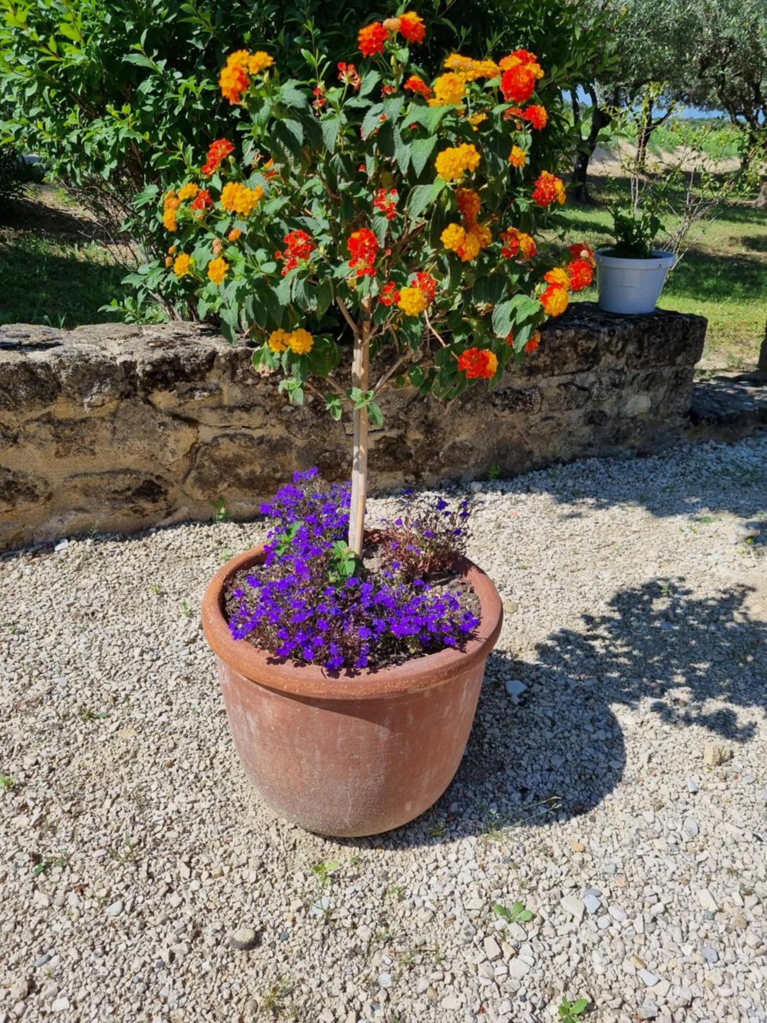 La Fanette Hotel Montbrison-sur-Lez Luaran gambar